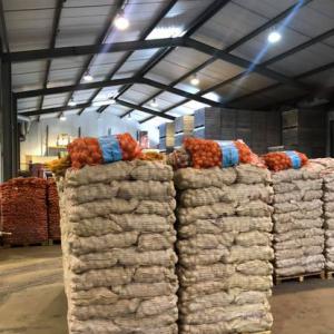  Recherche Partenaire Financier Ou Fournisseur - fruits et légumes  jeune entreprise qui pr&eacute;tend s'investir pleinement dans le secteur de l&eacute;gumes (oignons,  pomme de terre et carottes)et fruits (pomme fra&icirc;che gala,  grany,  raisin,  madeleine,  orange) .je suis &agrave; la recherche d'un partenaire financier ou fournisseur pour m'aider &agrave; d&eac