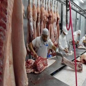  Prestation De Services Aux Abattoirs - emploi représentation prestations de services aux abattoirs - nous fournissons une main d'oeuvre qualifiée et expérimentée dans vos abattoirs ( bovins - porcins - volailles)--abatage - desosseurs - pareurs - emballage - expédition - chauffeurs permis c + cap + tachygraphe à jour.--pays 