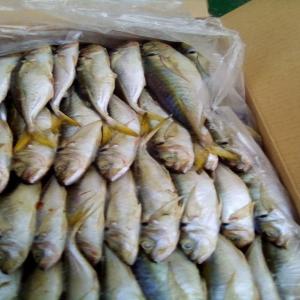  Fournisseur - poissons je suis un fournisseur je chercher une société pour me fournir des poissons pour mes clients grossistes . voici mes besoins,  1 avoir une chambre froid  2 un bon prix car j'ai des clients grossistes merci mes coordonnées