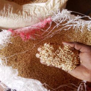  Riz Bio - céréales je suis revendeur grossiste qui achète le riz bio dans les villages les stocks et les revend.--qui travaille dans le domaine du riz peux me contacter.--cordialement