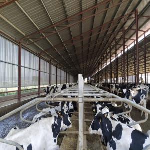  Litière Farine De Paille Pour Vaches Laitières - hygiene entretien depuis 1988,  notre société collecte et transforme de la paille de céréales et du fourrage comme la luzerne,  entre autres. --nous fabriquons et vendons de la farine de paille (litière pour vaches laitières). --n'hésitez pas à nous contacter pour