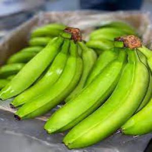  Banane De Toute Qualité - fruits et légumes bonjour, --nous disposons plusieurs tonnes de banane (banane plantain,  banane jaune,  ....) et nous cherchons des acheteurs fixes aux comores et à mayotte qui pourraient nous commander régulièrement des bananes. alors si vous intéressez,  n’hésitez à nous conta
