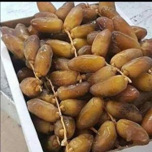  Vente De Dattes Tunisienne - fruits et légumes nous exportons les meilleurs variétés de dattes au monde,  deglet ennour tunisienne de sahara de jérid de tozeur et kbéli caractérisé par sa gout unique,  son apport énergétique riche en vitamines et son couleur de lumière de soleil. notre