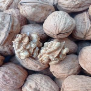  Vendre Noix En Coque Et Noyau De Noix - fruits et légumes bonne soiree, --nous proposons en grande quantite, noix en coque et  noyau de noix, originaires de roumani et de poland.