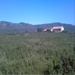  Vente Propriété Terrain Agricole Centre Hippique - mine terrain concession nous présentons cette incroyable propriété avec plus de 245 000 m2 de terrain. mas rénové en conservant son caractère historique du xviiième siècle. pierres et poutres apparentes dans un environnement naturel avec vue panoramique. situé 