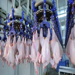  Frozen Chicken Pork Beef Lamb Goat/turkey - meat and eggs meat processing plant (13-19) located in chile dealing with primarily cutting,  packaging,  selling & exportation of meat,  meat products(frozen & chilled chicken ,  pork,  beef,  turkey,  mutton,  chevon and their various cuts & parts) other service includes cold stores,  deep-freezing,  warehousing and tran