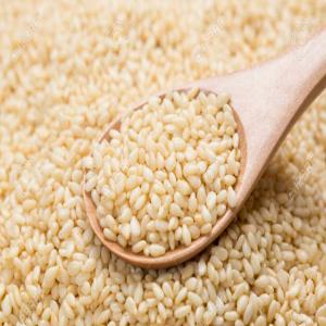  Sesame Blanc Dissponible - fruits secs et graines grillées plus de 5000 tonnes de sésame blanc disponible.--prix magasin 680 francs cfa.--prix variable au fur et à mesure qu'on s'éloigne de la période de recolte