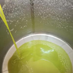  Huile D'olive Excellente Qualité /made In Sicilia - huiles je suis producteur italien situ&eacute; en sicile,  disposant de grande quantit&eacute; d'huile d'olive extra vierge d'excellente qualit&eacute; obtenu &agrave; partir de 3 vari&eacute;t&eacute;s  diff&eacute;rentes qui sont - biancolilla,  nocellara del belice et cerasuola. les terres se situent dans