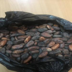  Premium Cocoa Beans For Sale - coffee cocoa tea premium cocoa beans for sale in large quantities for immediate sale. payment terms are negotiable. loading port is tema/ takoradi,  ghana. fob price is available. product origin - ghana