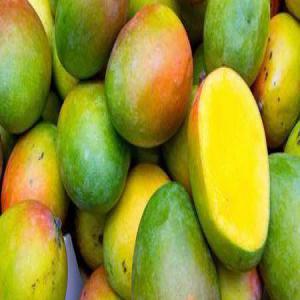  Exportations Des Mangues - fruits et légumes je suis  &agrave; la recherche des acheteurs de mangues 🥭 du s&eacute;n&eacute;gal vers les autres destinations plus particuli&egrave;rement au maroc.