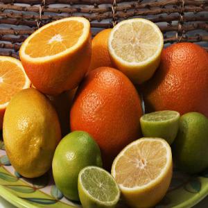  Recherche De Partenaires Pour Finacement Cultures - fruits et légumes je suis à la recherche de partenaires dans le domaine de la culture d'agrumes--je dispose d'un espace de 3ha en sol très fertile dans la zone sud du sénégal et souhaiterai un financement pour une culture  de 1400 pieds de citrons