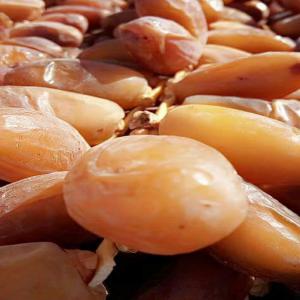  Deglet Nour - fruits et légumes vends dattes deglet nour,  origine algerie,  qualité premium. conditionnements- 250gr,  500gr,  1kg,  2kg ou 5kg. livraison partout dans le monde . contactez nous! (...)--- restriction -pas d'achat mini 
