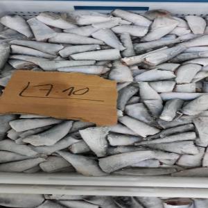  Sardine Bloc .sardine Eee - poissons  unit&eacute; de cong&eacute;lation  situ&eacute; a la ville dakhla maroc --notre objectif la vente de poisson congel&eacute; --la sardine ,  sardinelle ,  macro et poulpe.--je cherche un client.