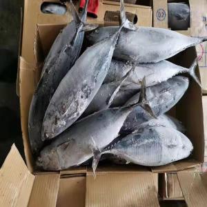  Stocks De Poissons Surgeles De Chine Vendre - poissons bonjour,  --nous sommes une entreprise chinoise sp&eacute;cialis&eacute;e dans les produits de mer et les boites de conserves de poissons.--pour cette fin d'annee, nous vous proposons des stocks illimites de poissons surgeles a vendre a des prix tres interessants --espece- maquereaux, faux thon, sosso, t