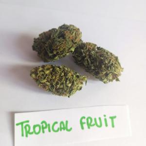  Chanvre Cbd Grosse Quantité - semence graine plant bonjour --je suis à la recherche de partenaires pour de grande quantité de chanvre (cbd) à écouler ,  possibilité de travailler sur du long terme .--très bonne qualité ,  prix selon la quantité...--n'hésitez pas à envoyer un mail po
