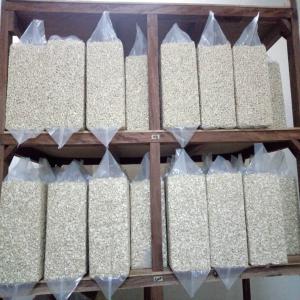  Vente Amande Et Noix De Cajou Cote D'ivoire - fruits secs et graines grillées nous vendons de grandes quantités d'amandes et de noix de cajou. nous pouvons vous assurer une grande disponibilité mensuellement et à des prix défiant toute concurrence. 