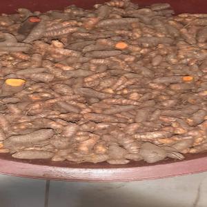  Curcuma Frais Vendre - publicité-nouveaux produits j'ai une quantité importante de curcuma frais.je recherche des acheteurs ou partenaire pour écouler mon produit.mon curcuma est de très bonnes qualité.