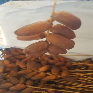  Dattes Deglet Noor - fruits et légumes nous avons disponible deglet noor --d'algérie nouvelles récolte 2024--quantité 22tonnes--1kilo rampes--6 kilos grappes vente toute l’europe 