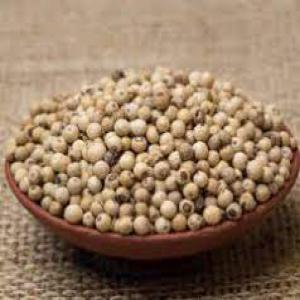  Poivre Blanc De Pendja Vendre - épices aromates poivre blanc de pendja de très bonne qualité à vendre. nous contacter si intéressé --poivre blanc de pendja de très bonne qualité à vendre. nous contacter si intéressé 