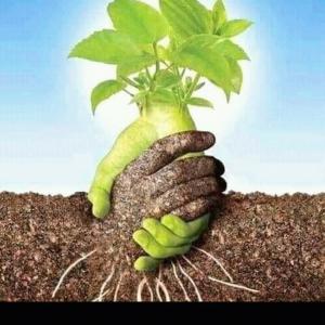  Besoin D'un Associer - Investissement capitaux bonjour,  je suis en phase de cr&eacute;ation d'une soci&eacute;t&eacute; d importation et de distribution agro-alimentaire en c&ocirc;te d'ivoire besoin de au maximum  deux si non l id&eacute;al  un seul assosiers pour un financement &agrave; hauteur de 11 millions de fcfa au total pour le tout  mer