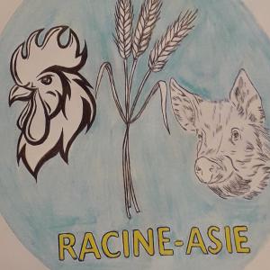  Coopérative Agropastorale Au Congo-brazzaville - viandes et oeufs le projet de coop&eacute;rative agroalimentaire se d&eacute;cline en 3 volets---1- production d'aliments de b&eacute;tail pour r&eacute;pondre aux besoins croissants des fermes implant&eacute;es au congo. estimation- 10 tonnes/mois--2- ferme avicole et porcine- production d'&oelig;ufs de table &agra