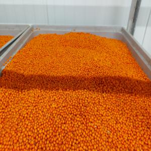  Fruits Surgeles Et Fruits Secs - fruits et légumes bonsoir, --nous avons l'opprtunite de vous proposer en provenance d'europe de l'est, des fruits d'argousier, de framboises et de bleuets, tous surgeles, en grande quantite.nous pouvons egalement vous proposer une  large gamme de fruits secs.tous les produits sont certifies de qualite.