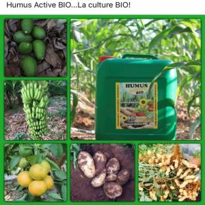  Humus Active Bio 1l Remplasse 8tones Du Fumier - semence graine plant humus active bio est un engrais liquide extrait des sols enrichis des débris végétaux des forets polonaises.----riche en matière organique,  l humus active bio conditionne la nutrition azotée et minérale des végétaux,  plantes et arbres.----les b