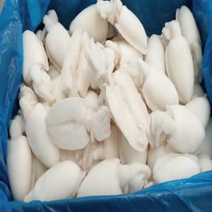 Poisson Frais Et Congelé - poissons société marocaine spécialisée dans l'achat et la vente de tout type de poisson de la première vente jusqu'à l'exportation pour un prix abordable , elle est aussi connue par son expertise ainsi que son poisson de haute qualité  soit congelé(cong&