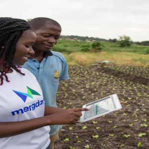  Offre De Services En Expertise Agricole Avec Le - conseil et formation vous etes à la recherche d'une entreprise d'expertise en agriculture?--contactez le bureau d'ingénierie agricole et d'investissement (bia) pour vous accompagner dans tous vos projets.--nous intervenons dans -----l'étude technique,  ---l'assistance et le conseil,  ---la réal