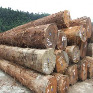  Ébène, Acajou, Iroko, Sapelli, Okan. - bois charbon fibre  nous vendons et exportons du bois ébène,  acajou,  iroko,  sapelli,  okan dans le monde entier,  sous différentes formes et tailles,  depuis plus d'une décennie maintenant.-- nous avons également produit plus de 500, 000 mètres cubes pendant le cours.--inté