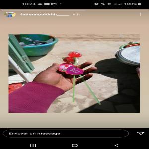  Avis De Vente - fruits secs et graines grillées salut je suis une jeune &eacute;tudiante qui d&eacute;bute dans le business je dispose d'une importante quantit&eacute; de bissap rouge pour pr&eacute;parer des jus ainsi  que du poisson fum&eacute; envoy&eacute; moi un message si &ccedil;a vous int&eacute;resse 