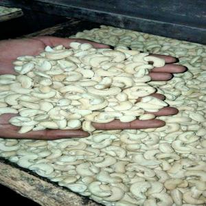  Cashew Nut Noix De Cajou - roasted seeds and nuts hello,  our company is specialized in the sale of fruits and vegetables from africa.  we supply large varieties of quality fruits and vegetables.  hibiscus,  cashew,  peanut,  caracole,  banana,  african pineapple,  coconut,  lemon.  we have stock 50 tons of cashew nut fob price  5500 $/ ton.