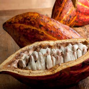  Cacao, Café, Miel - café cacao thé qualité premium de nos produits agricoles. café,  poivre (blanc et noir) ,  miel pure,  cacao en vente chez nous à des prix très abordables . nous livrons partout. venez consommer du pure made in africa.