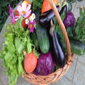  Je Recherche Un Agriculteur Pour Louer Mon Terrai - mine terrain concession bonjour , je suis une jeune entrepreneuse dans agriculture a afrique de l'ouest plus précisément au sénégal région de thiès mont rolland, j'ai un terrain de 225m2 a mon nom, je voulais le louer à un agriculteur confirmer qui pourras faire de l'agricultur