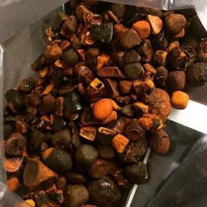  Ox Gallstones (calculs Biliaires De Boeufs) - animaux vivants nous sommes une entreprise sp&eacute;cialis&eacute; dans la production et la vente de ox gallstones de tr&egrave;s haute qualit&eacute;.--nous avons les partenaires dans tout le monde entier