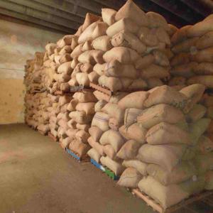  Fruits, Vegetables And Coffee On Offer - fruits and vegetables we produce products such as cashew nuts,  coffee,  cocoa,  banana and mangoes directly from the ivory coast,  i have attached pictures of our harvest,  therefore  looking for a buyer,  that is interested in these products. 
