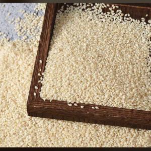  Je Recherche Des Clients - fruits secs et graines grillées bonjour chere(es) nous avons des stocks de s&eacute;sames,  des noix de cajous et du beurre de karit&eacute; plus ses mati&egrave;res premi&egrave;res. n'h&eacute;sitez pas &agrave; me contacter pour toute information. cordialement.