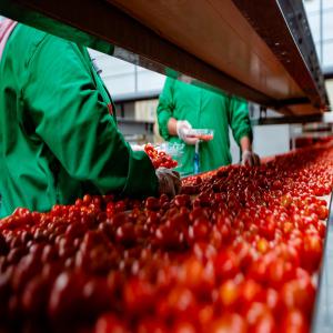  Fruits Et Légumes Du Maroc - fruits et légumes notre société,  sous ma direction,  intervient principalement dans le secteur de l'agriculture  légume et fruit . nous proposons depuis plusieurs années aux clients particuliers et professionnels l'exportation des légumes et fruits et surtout hors saison.--comme votr