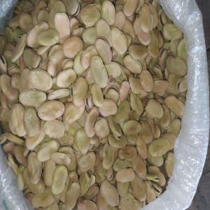  Vente Fèves Sèches - fruits secs et graines grillées nous exportons de fèves sèches décortiquées et non décortiquées d'origine tunisienne en grand quantité,  riche en fibre et de bonne qualité.--veillez nous contacter pour plus d'information,  merci.