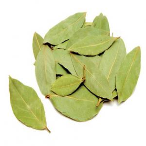  Laurier Séché Vert - horticulture plante biocarburant la feuille de laurier est tr&egrave;s b&eacute;n&eacute;fique pour le syst&egrave;me digestif--en raison du parfum que le laurier apporte aux plats,  il stimule l app&eacute;tit et poss&egrave;de par cons&eacute;quent,  une vertu ap&eacute;ritive. ses feuilles,  une fois s&eacute;ch&eacute;es,  permette