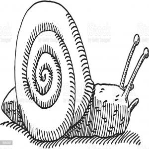  Mucus, Bave D'escargot, Escargot - coquillage crustacé bonjour, --je voudrais vous proposer une coop&eacute;ration bas&eacute;e sur l'approvisionnement r&eacute;gulier en mucus d'escargot. nous avons des voitures sp&eacute;cialis&eacute;es. nous livrons le produit personnellement. nous coop&eacute;rons avec des entreprises en pologne et en lituanie. nous