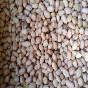  Arachides En Stock - fruits secs et graines grillées conditionnement  sac de 100kg /75000f.cfa ttc .--pour l exportation,  veuillez nous contacter par mail .----