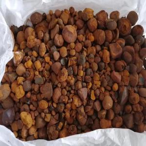  Cattle Gallstones Available - other we supply ox gallstones,  bull gallstones,  cow gallstones and we supply  both whole and broken gallstones and the come in orange brown,  or dark brown close to brownish black. some gallstones can be as big as a hens-egg (whose weight can reach 100 grs),  but the average gallstone will be more likely th