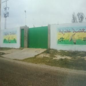  Cherche Partenaire Étranger - huiles bonjour,  --j'ai une huilerie d'huile d'olive situ&eacute; dans une zone strat&eacute;gique superficie 5000 m2 dont 500 m2 couvert.--cherche partenaire &eacute;tranger pour financer une nouvelle chaine d'extraction d'huile d'olive.