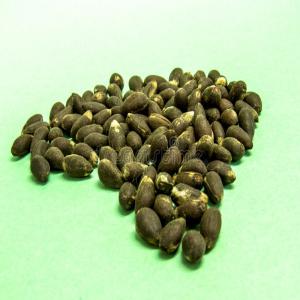  Coton Graines - matières grasses nous sommes une société présente au bénin et nous commercialisons des produits tropicaux.--nous avons actuellement en grande quantité du coton graines.--veuillez donc nous contacter si vous etes intéressé.--cordialement.--