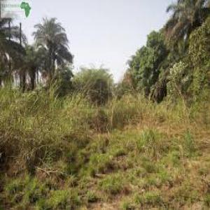  Parcelles Disponibles Pour Création De Plantation - mine terrain concession ----des parcelles sont disponibles pour la création de vos plantation de cacao, palmier, hévéa, banane plantain, maraîcher, etc.--contacter nous rapidement pour commencer vos activités.--superficies- 300ha,  1000ha,  1500ha,  3000ha.--nb- ---toutes nos parcelles sont vendue