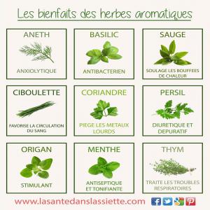  Thé Et Plante Pour Infusion En Vrac - horticulture plante biocarburant je cherche des fournisseurs --pour des thé et plantes séchés--de l'origan,  la menthe poivré.--pour un essaie mais en provenance du maroc