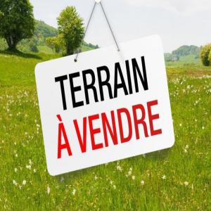  Vente Et Location De Terrains Pour Agriculture - mine terrain concession parcelles déjà délimitées en vente et location pour agriculture et élevage à bouaflé et dimbokro (côte d’ivoire).--superficies- 300ha à 3000ha. --toutes nos parcelles disposent d'attestation villageoise,  certificats fonciers,  plan de site