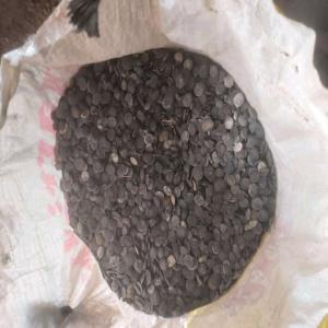  Recherche D'acheteurs De Graines De Griffonia - fruits secs et graines grillées bonjour. nous avons une grande quantité de graines séchées de bonne qualité disponible actuellement.si vous etes intéressé contactez nous pour en discuter. prix abordable et négociable--