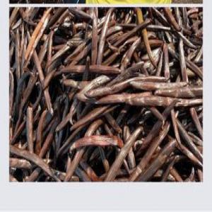  Cherche Client Ou Importateurs De Vanille - épices aromates bonjour, --notre entreprise propose de nombreuse types et qualités de vanille différentes comme les cuts,  les rouge europe,  les rouge us. notre entreprise travaille dans le secteur de la vanille depuis plus de 30 ans et que nous sommes installés dans la régions sava &agrav